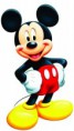 /album/colecao-mickey/a7267-mlb5177099582-102013-o-jpg/