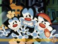 /album/colecao-looney-tunes/animaniacs-jpg/